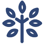 Allergies and Dermatology