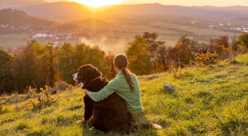 Vetopia Animal Health