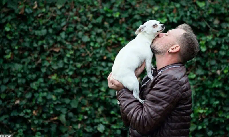 Man holding his dog in front of an ivy wall