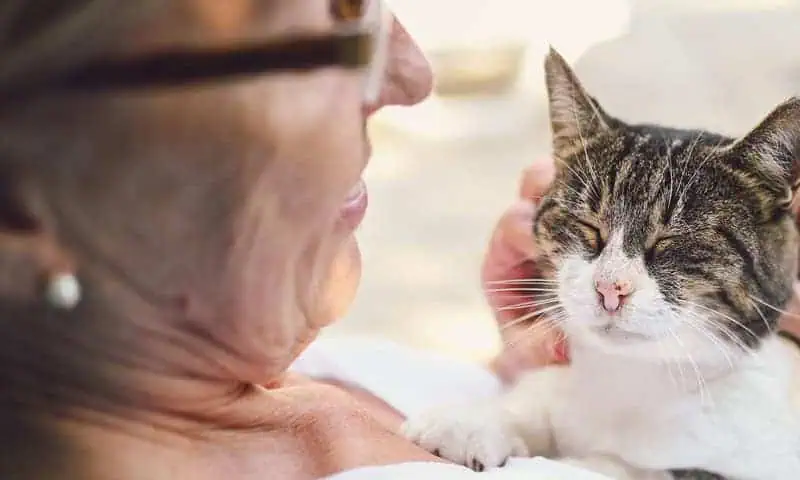 Senior woman petting her cat.