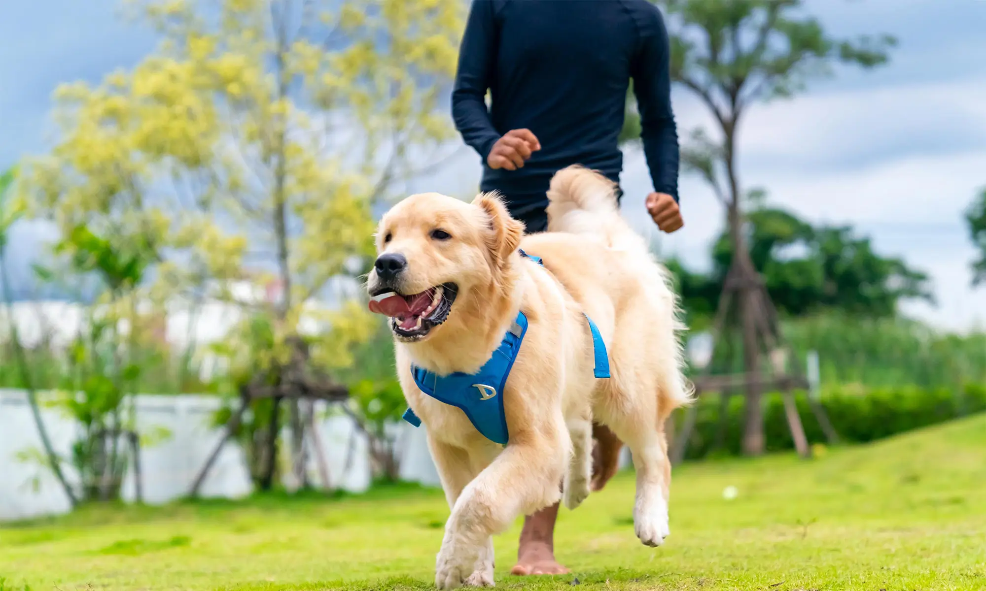 Family with dog