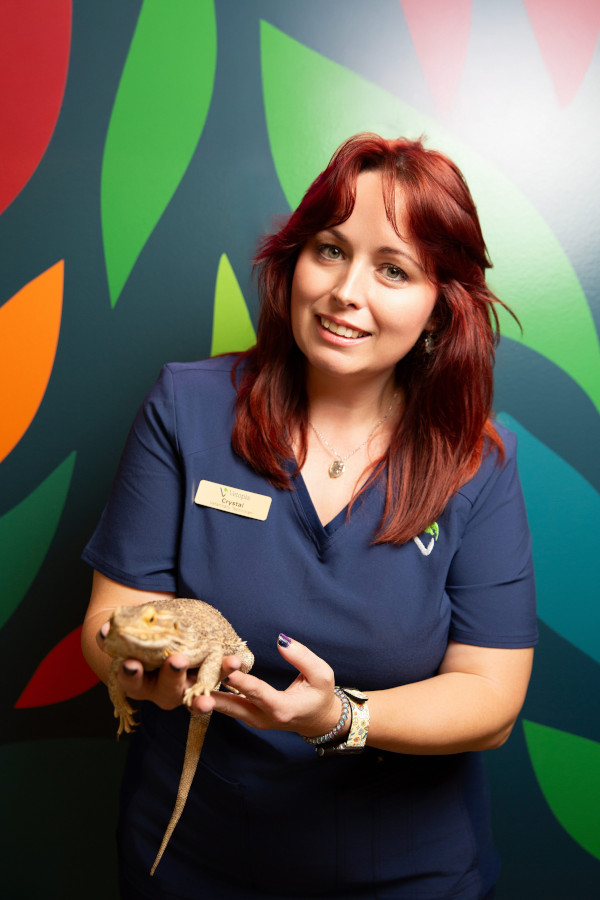 Crystal Alba, Lead Veterinary Technician, Fear-Free Certified Elite Level